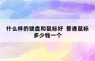 什么样的键盘和鼠标好  普通鼠标多少钱一个